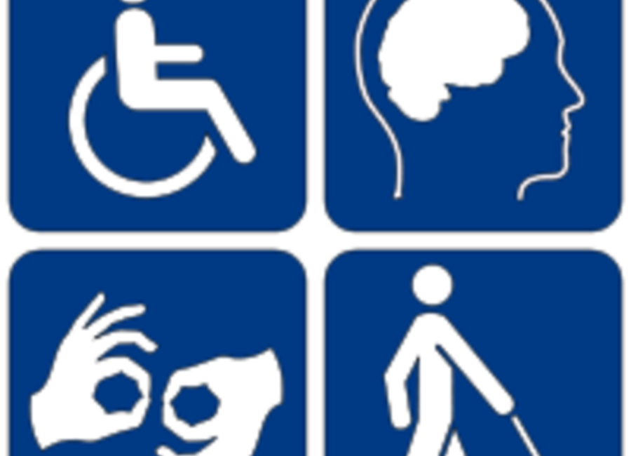 Raznolikost invalidnosti