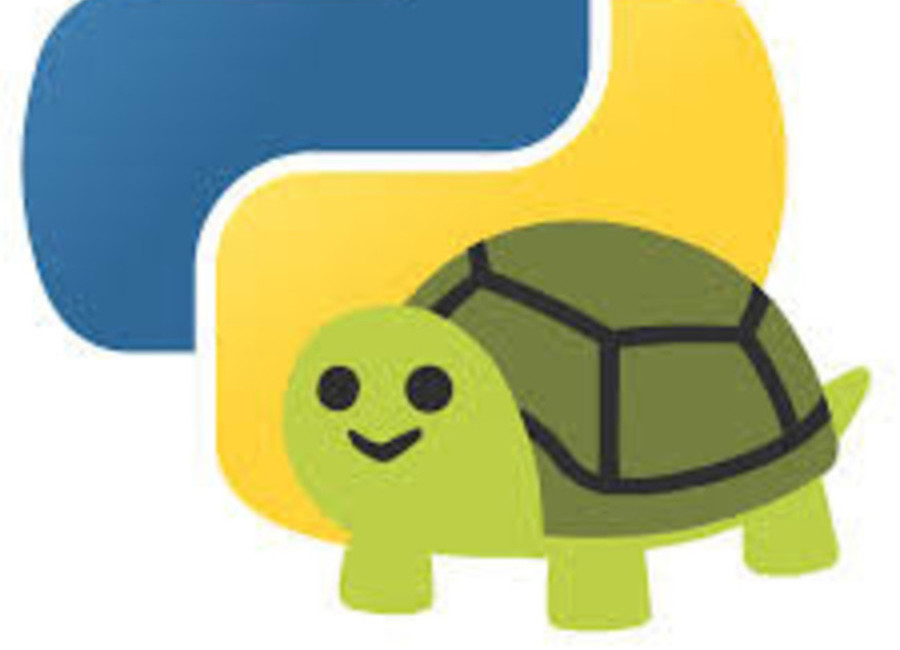 Python kornjača-programiranje za djecu
